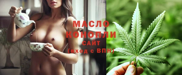 соль ск Надым