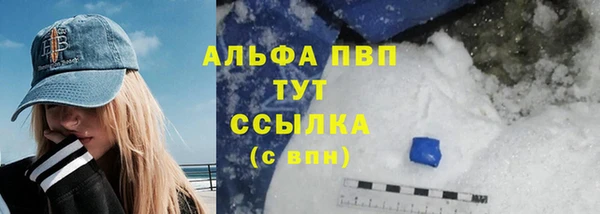 соль ск Надым