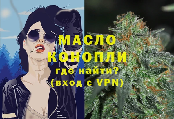 соль ск Надым