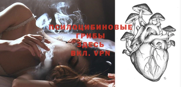 соль ск Надым