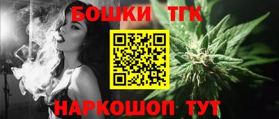 СК Дубна