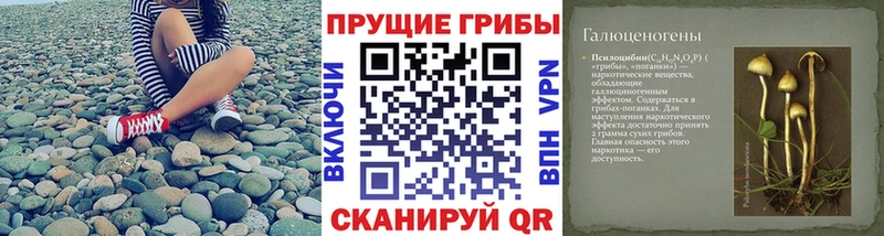 наркошоп  Таганрог  Галлюциногенные грибы ЛСД 